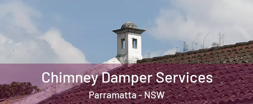 Chimney Damper Services Parramatta - NSW