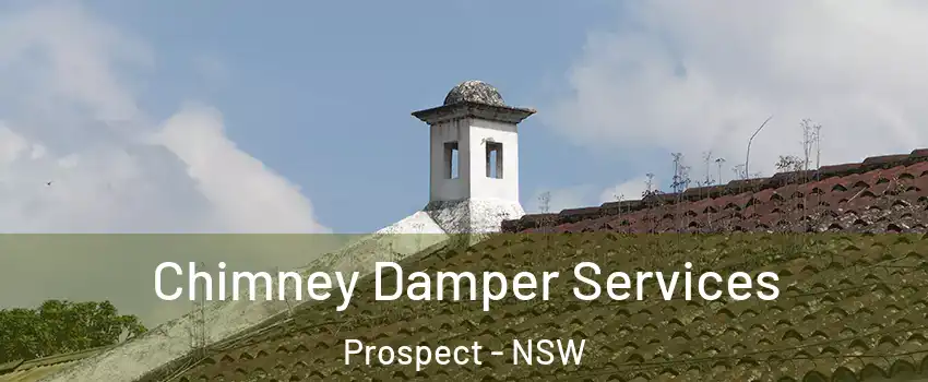 Chimney Damper Services Prospect - NSW