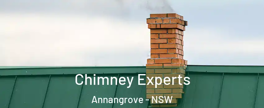 Chimney Experts Annangrove - NSW