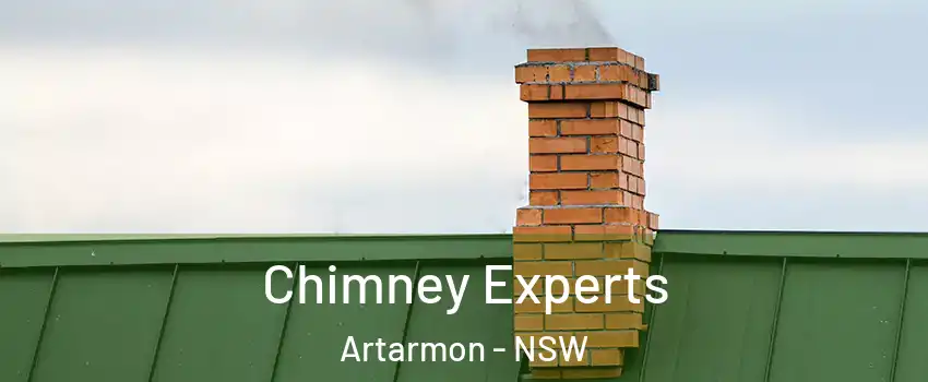 Chimney Experts Artarmon - NSW