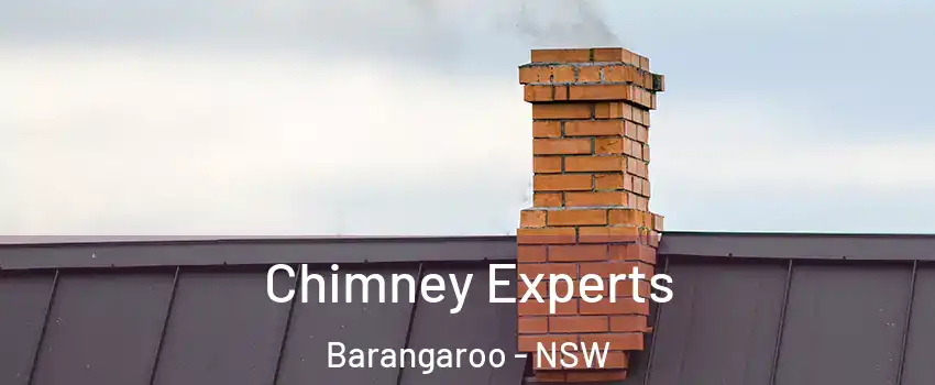 Chimney Experts Barangaroo - NSW