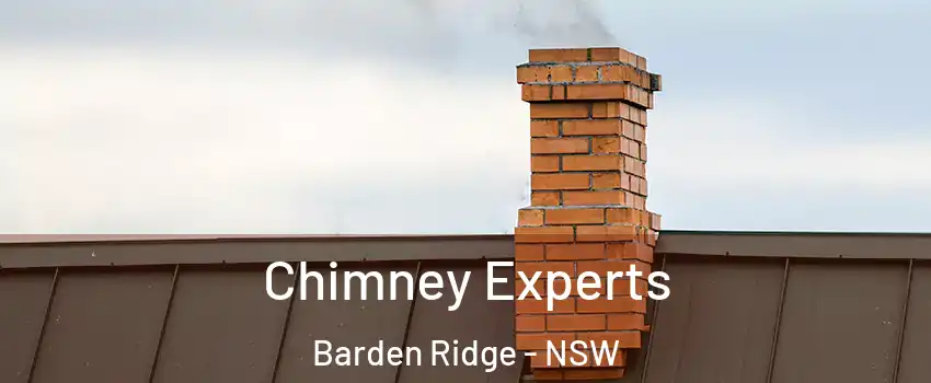Chimney Experts Barden Ridge - NSW