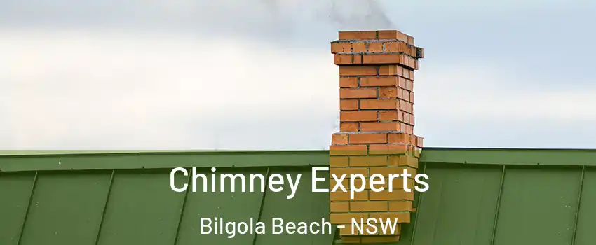 Chimney Experts Bilgola Beach - NSW