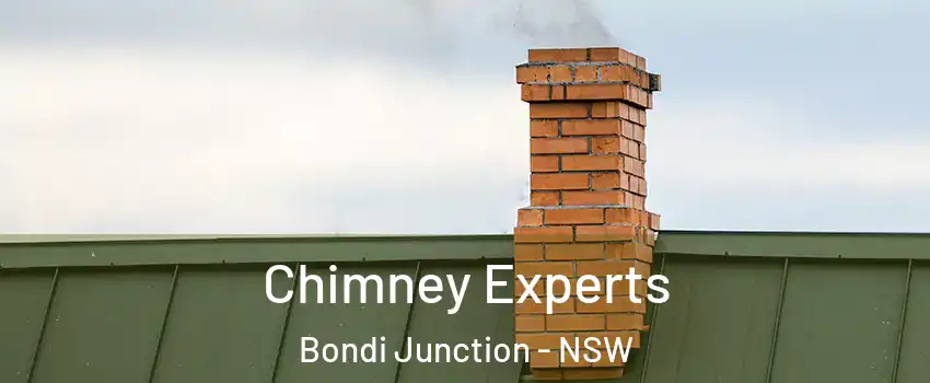 Chimney Experts Bondi Junction - NSW