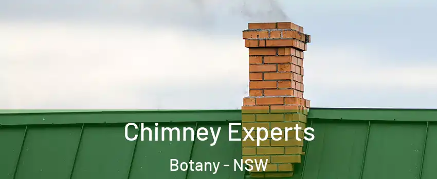 Chimney Experts Botany - NSW