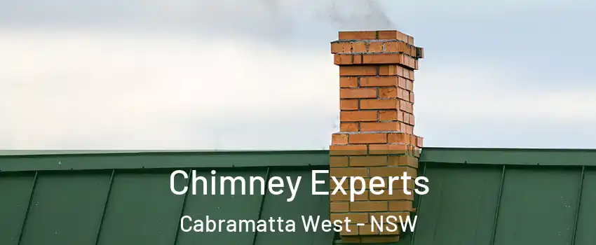 Chimney Experts Cabramatta West - NSW