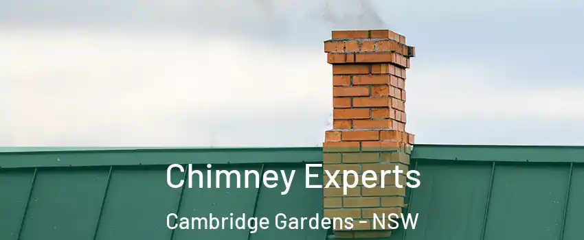 Chimney Experts Cambridge Gardens - NSW
