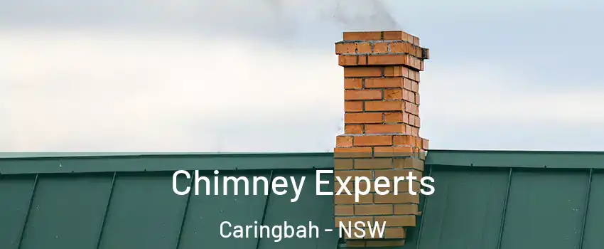 Chimney Experts Caringbah - NSW