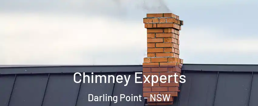 Chimney Experts Darling Point - NSW