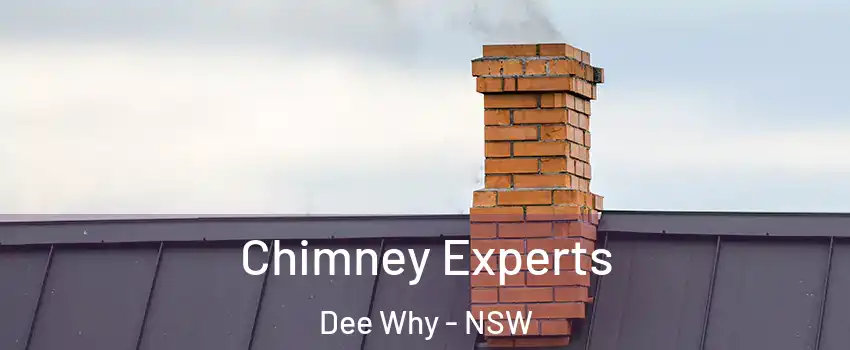 Chimney Experts Dee Why - NSW