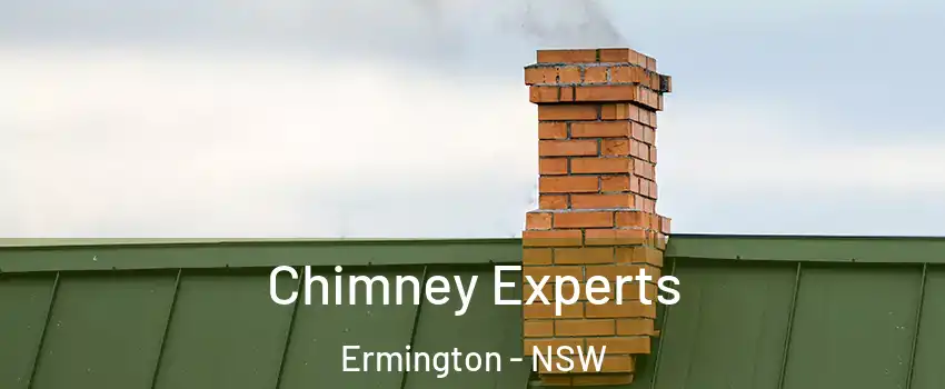 Chimney Experts Ermington - NSW