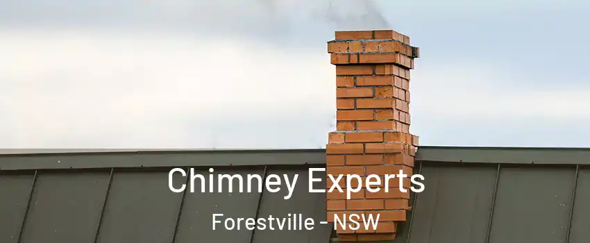 Chimney Experts Forestville - NSW