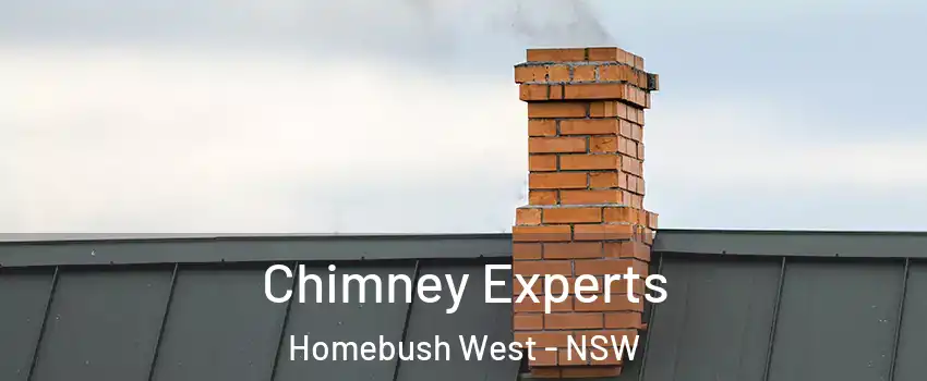 Chimney Experts Homebush West - NSW