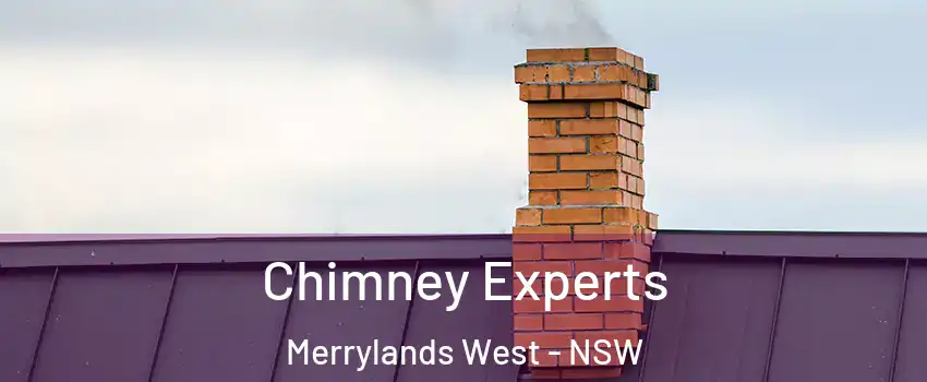 Chimney Experts Merrylands West - NSW