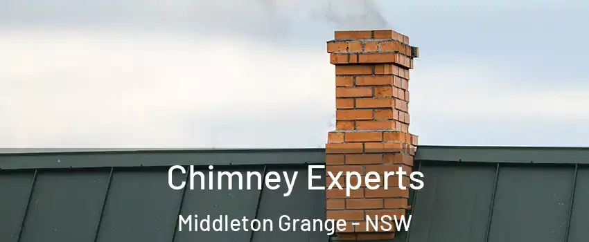 Chimney Experts Middleton Grange - NSW