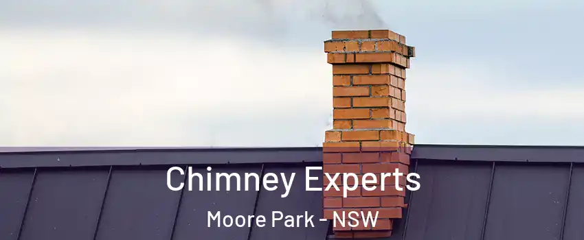Chimney Experts Moore Park - NSW