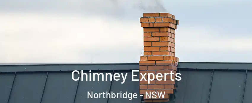Chimney Experts Northbridge - NSW