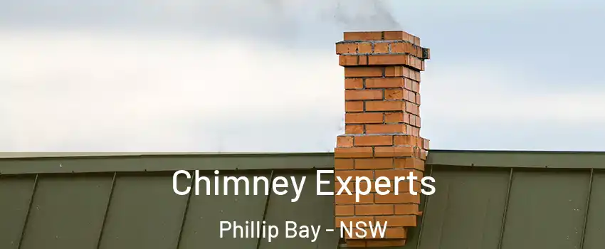 Chimney Experts Phillip Bay - NSW