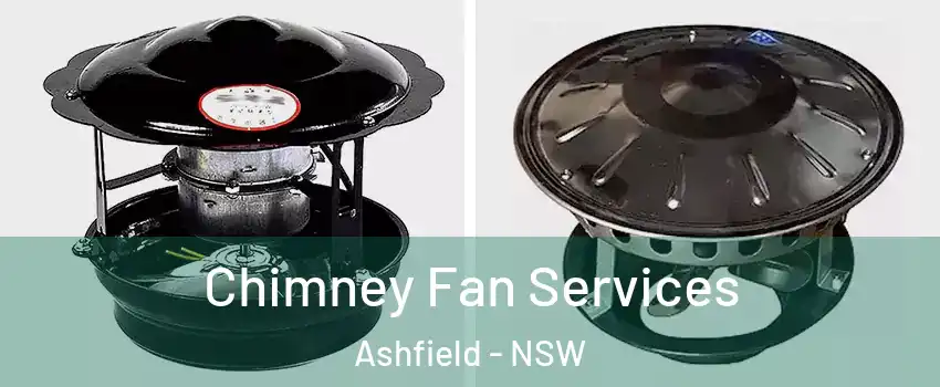 Chimney Fan Services Ashfield - NSW