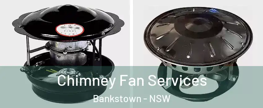 Chimney Fan Services Bankstown - NSW