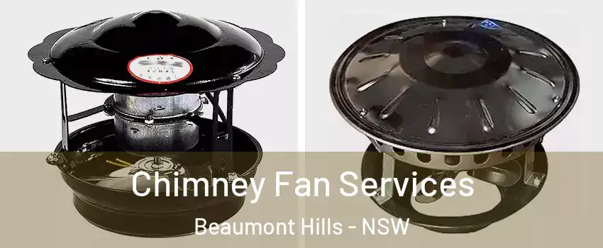 Chimney Fan Services Beaumont Hills - NSW