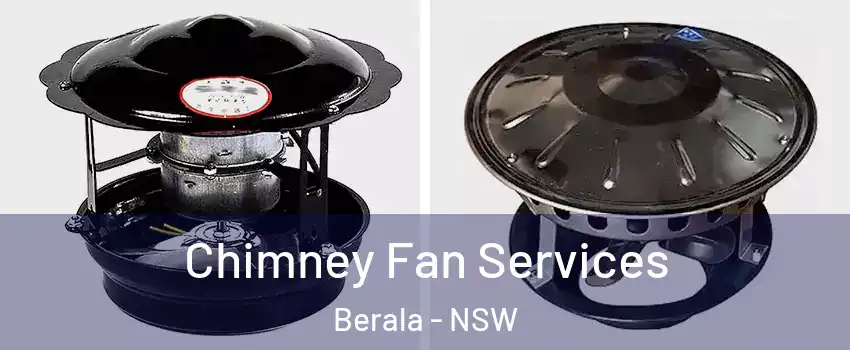 Chimney Fan Services Berala - NSW