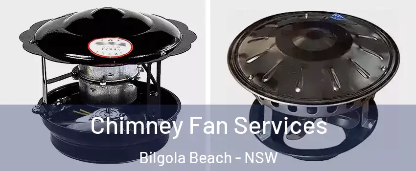 Chimney Fan Services Bilgola Beach - NSW