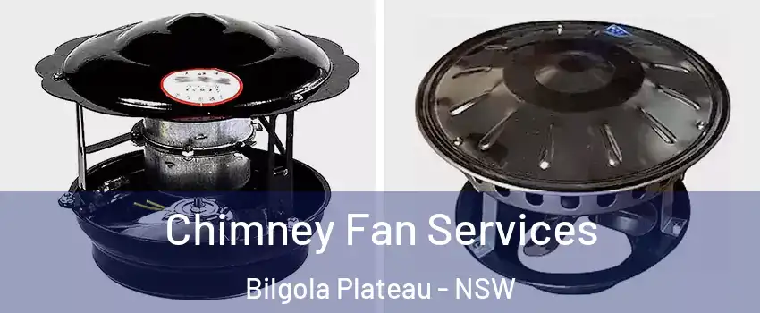 Chimney Fan Services Bilgola Plateau - NSW
