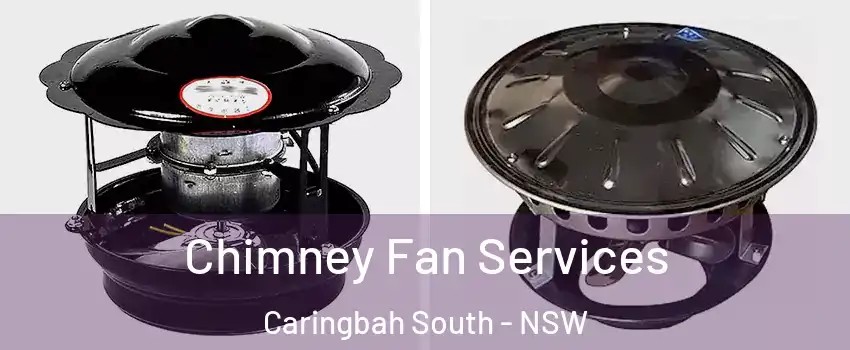 Chimney Fan Services Caringbah South - NSW
