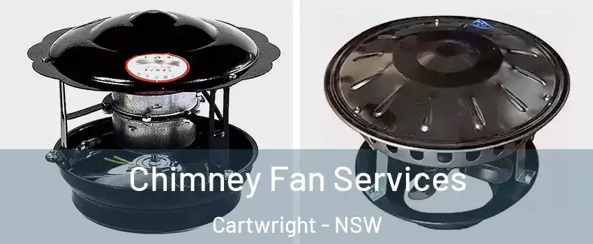 Chimney Fan Services Cartwright - NSW