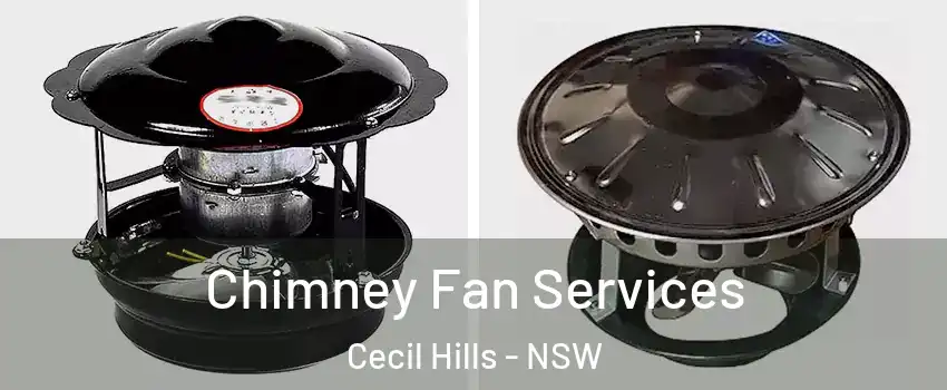 Chimney Fan Services Cecil Hills - NSW