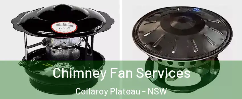 Chimney Fan Services Collaroy Plateau - NSW