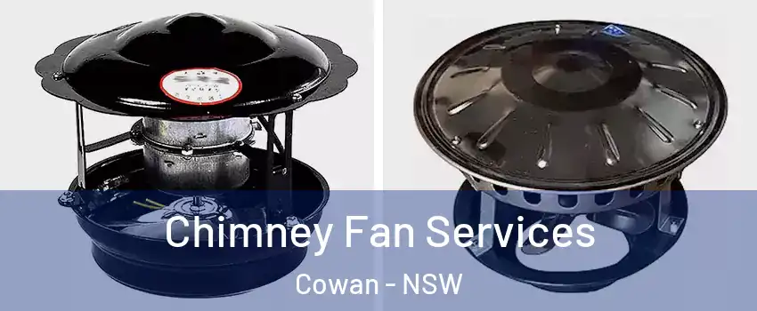 Chimney Fan Services Cowan - NSW