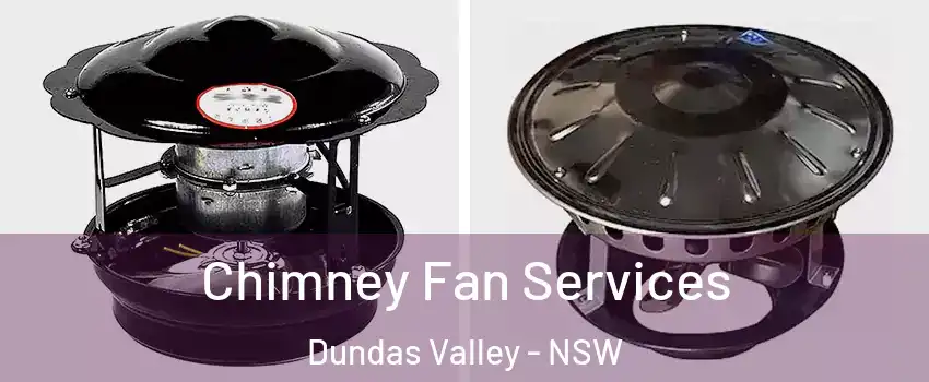 Chimney Fan Services Dundas Valley - NSW