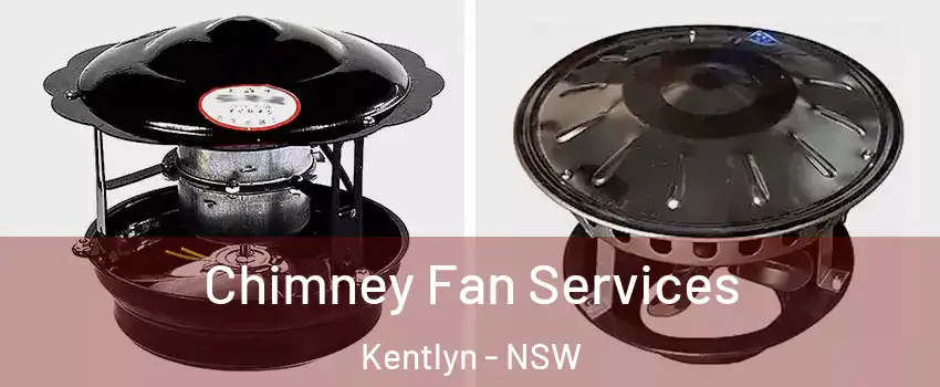 Chimney Fan Services Kentlyn - NSW