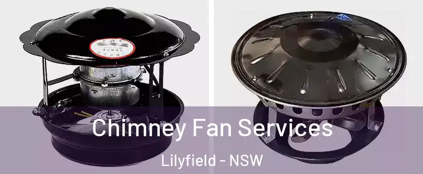 Chimney Fan Services Lilyfield - NSW