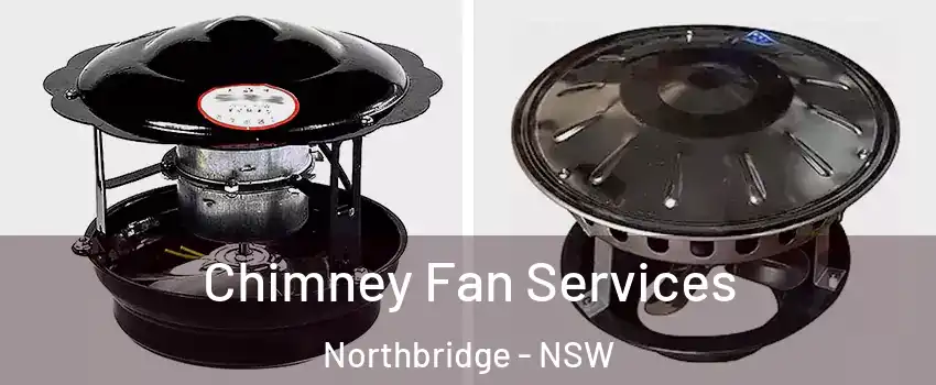 Chimney Fan Services Northbridge - NSW
