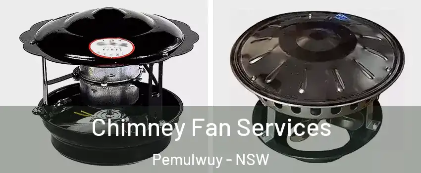 Chimney Fan Services Pemulwuy - NSW