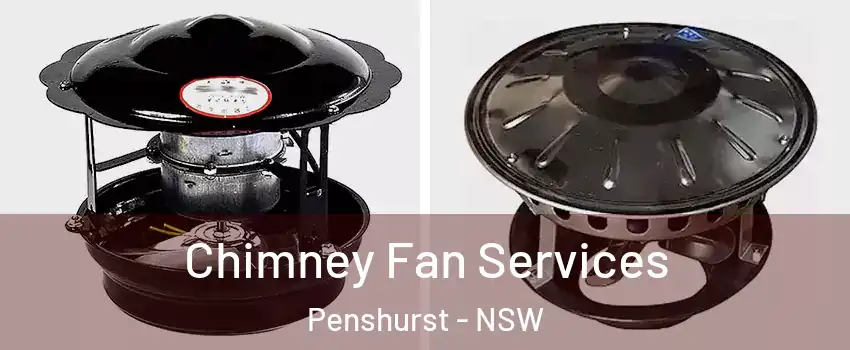 Chimney Fan Services Penshurst - NSW