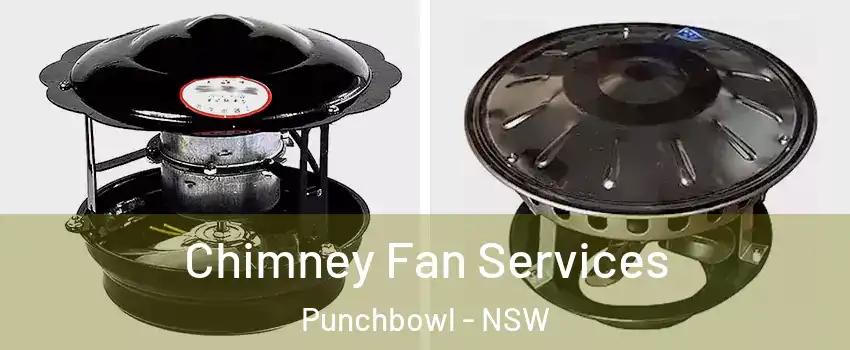 Chimney Fan Services Punchbowl - NSW