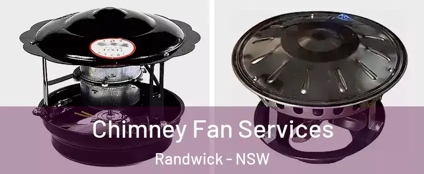 Chimney Fan Services Randwick - NSW