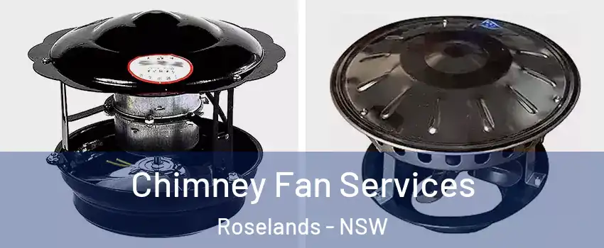 Chimney Fan Services Roselands - NSW