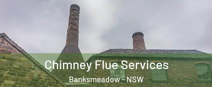 Chimney Flue Services Banksmeadow - NSW