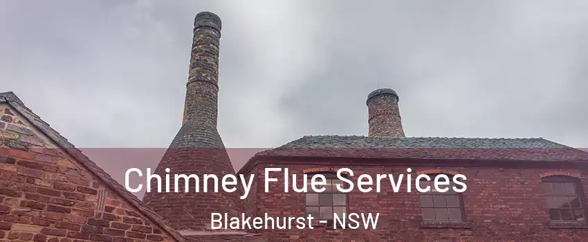  Chimney Flue Services Blakehurst - NSW