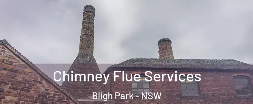 Chimney Flue Services Bligh Park - NSW