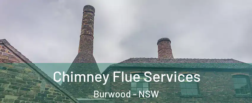 Chimney Flue Services Burwood - NSW