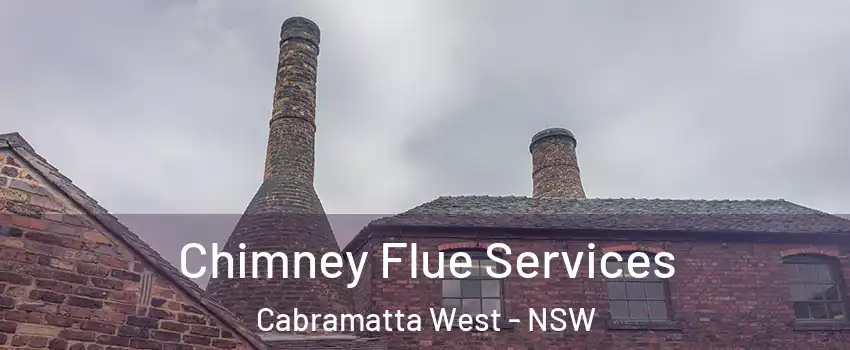 Chimney Flue Services Cabramatta West - NSW