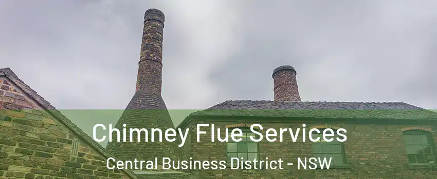 Chimney Flue Services Central Business District - NSW
