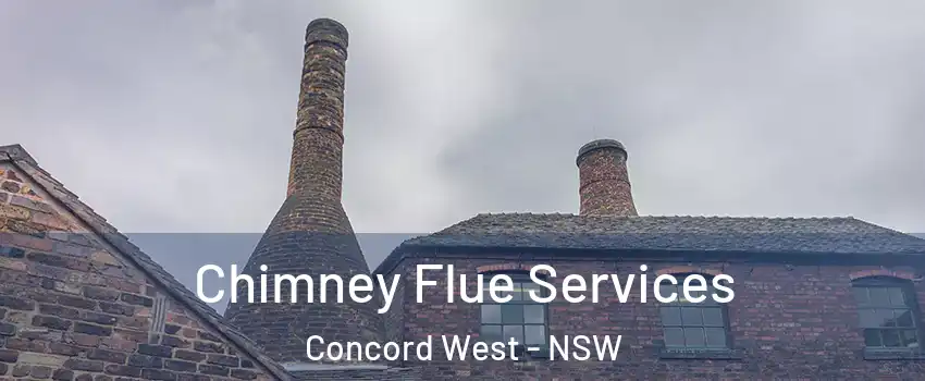 Chimney Flue Services Concord West - NSW