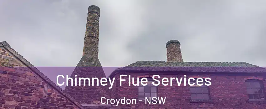 Chimney Flue Services Croydon - NSW